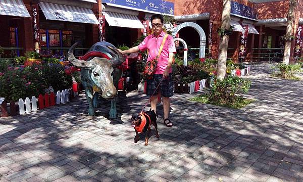 IMG_20151107_112108.jpg