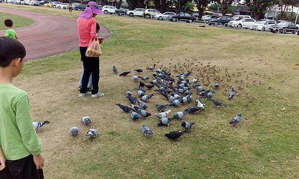 IMG_20151129_141213.jpg