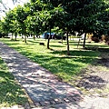 IMG_20151212_120653.jpg