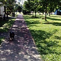 IMG_20151212_120716.jpg