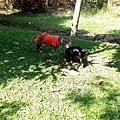 IMG_20151212_120741.jpg