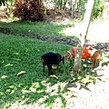 IMG_20151212_120802.jpg