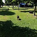IMG_20151212_120826.jpg