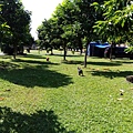 IMG_20151212_120828.jpg
