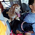 IMG_20151212_134103.jpg