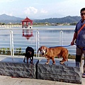IMG_20151212_152443.jpg