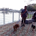 IMG_20151212_153636.jpg