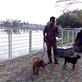 IMG_20151212_153630.jpg