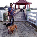 IMG_20151212_153913.jpg