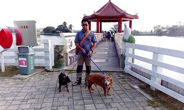 IMG_20151212_153901.jpg