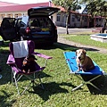 IMG_20151213_121017.jpg