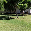 IMG_20151213_120950.jpg