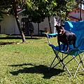 IMG_20151213_122540.jpg