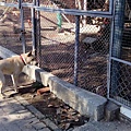 IMG_20151213_141729.jpg