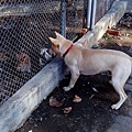 IMG_20151213_141906.jpg