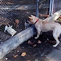 IMG_20151213_141926.jpg