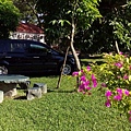 IMG_20151213_142130.jpg