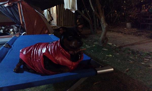 IMG_20151226_213256.jpg
