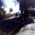 IMG_20160207_100334.jpg