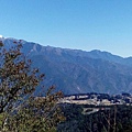 IMG_20160207_100549.jpg
