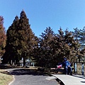 IMG_20160207_102535.jpg