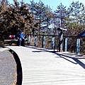 IMG_20160207_102448.jpg