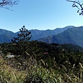 IMG_20160207_103353.jpg