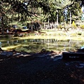 IMG_20160207_103300.jpg