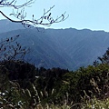 IMG_20160207_103414.jpg