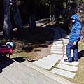 IMG_20160207_103716.jpg