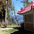 IMG_20160207_104151.jpg