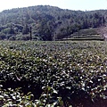 IMG_20160207_110550.jpg