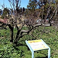 IMG_20160207_112028.jpg