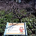 IMG_20160207_111957.jpg