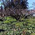IMG_20160207_112545.jpg