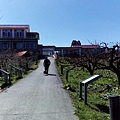 IMG_20160207_112609.jpg