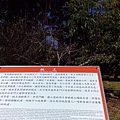 IMG_20160207_113249.jpg