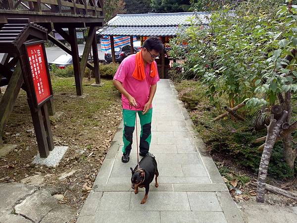 IMG20171104143807.jpg