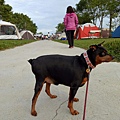 IMG20171104165847.jpg