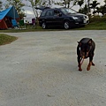 IMG20171104170138.jpg