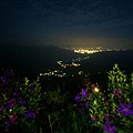 IMG20171104212829.jpg