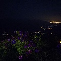 IMG20171104213250.jpg