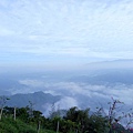 IMG20171105072004.jpg