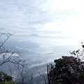 IMG20171105073003.jpg