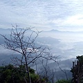 IMG20171105072916.jpg