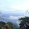 IMG20171105073333.jpg