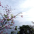 IMG20171105073206.jpg