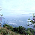 IMG20171105073424.jpg