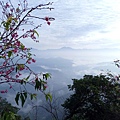 IMG20171105073539.jpg