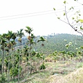 IMG20171105112847.jpg